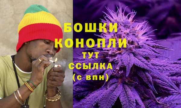 гашик Зеленодольск